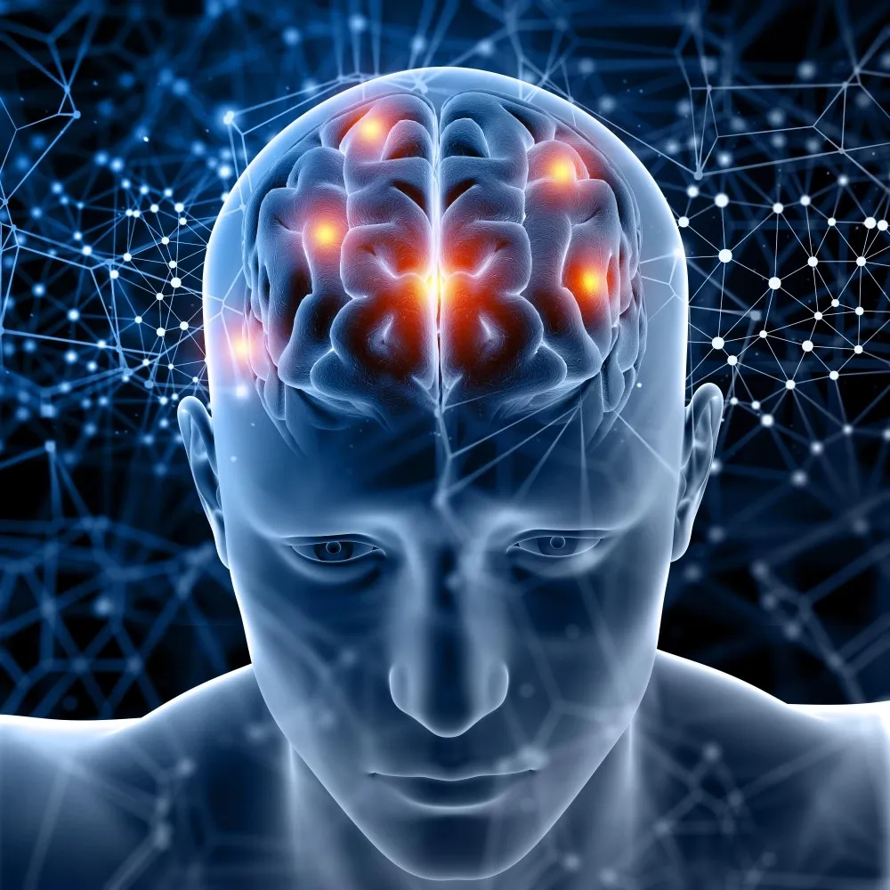 BrainLive™ Memory Focus and Cognitive Support Supplement