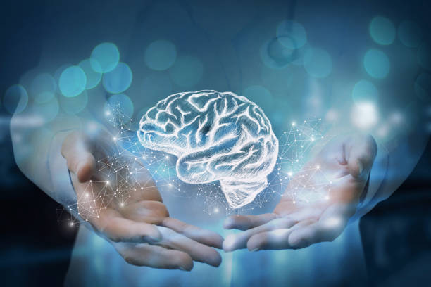 BrainLive™ Cognitive Wellness Memory Focus Support Supplement