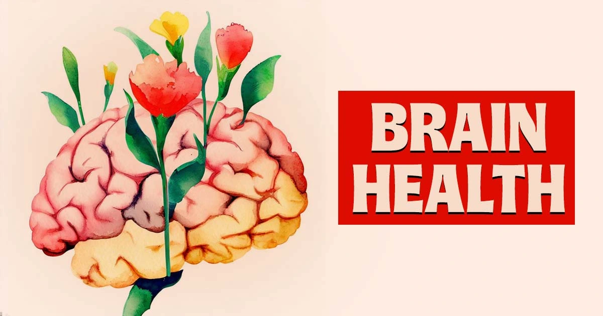 BrainLive bottle-6